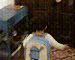1553501848136806.gif 微信图片_20190325154238.gif