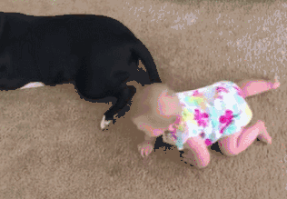 1554259531913995.gif 微信图片_20190403104258.gif