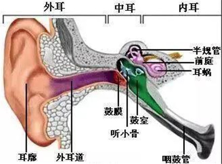 1584584685104937.jpg 微信图片_20200319101801_副本.jpg