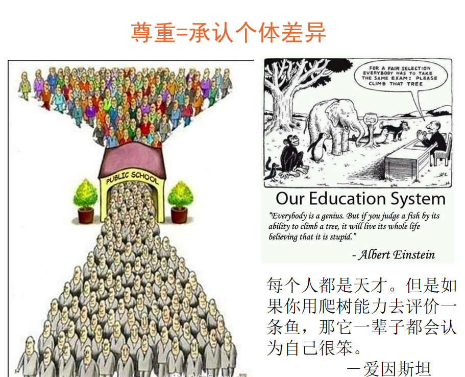 多特儿童专注力